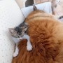Vivi  mit Lola